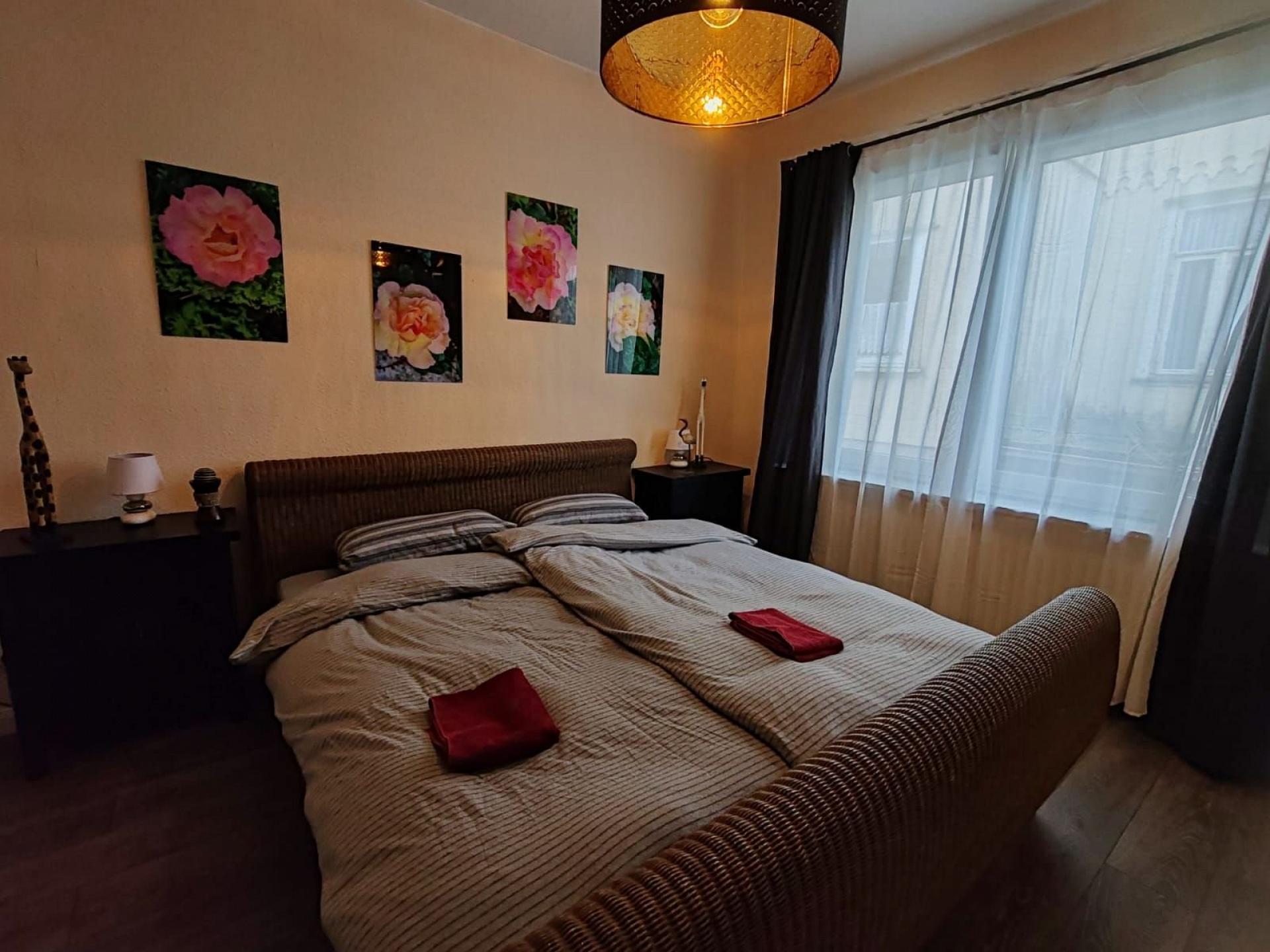 Ferienhaus Fichtenrauschen Foto 8